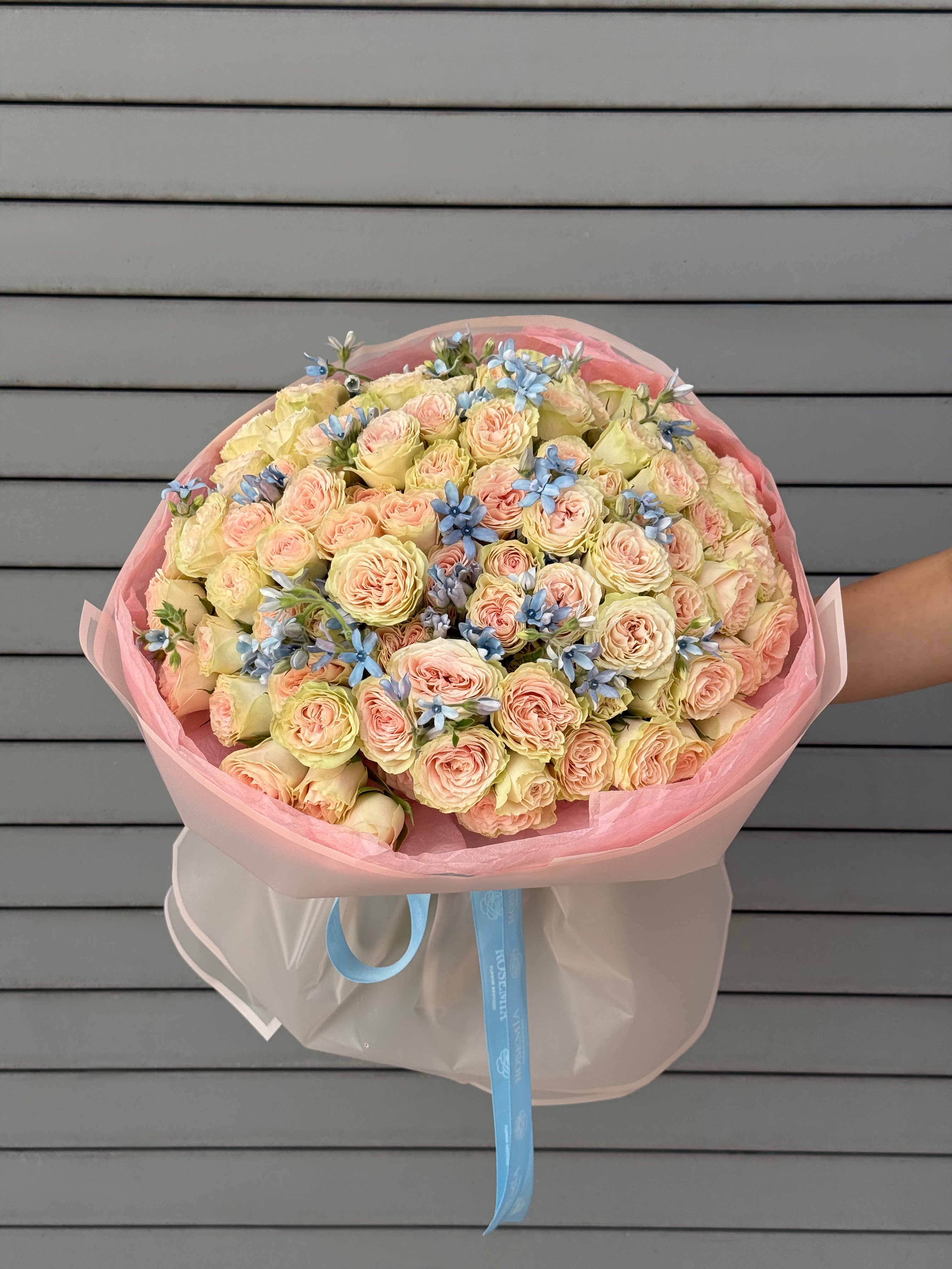 No.40 BALLET PINK - garden spray roses, tweedia