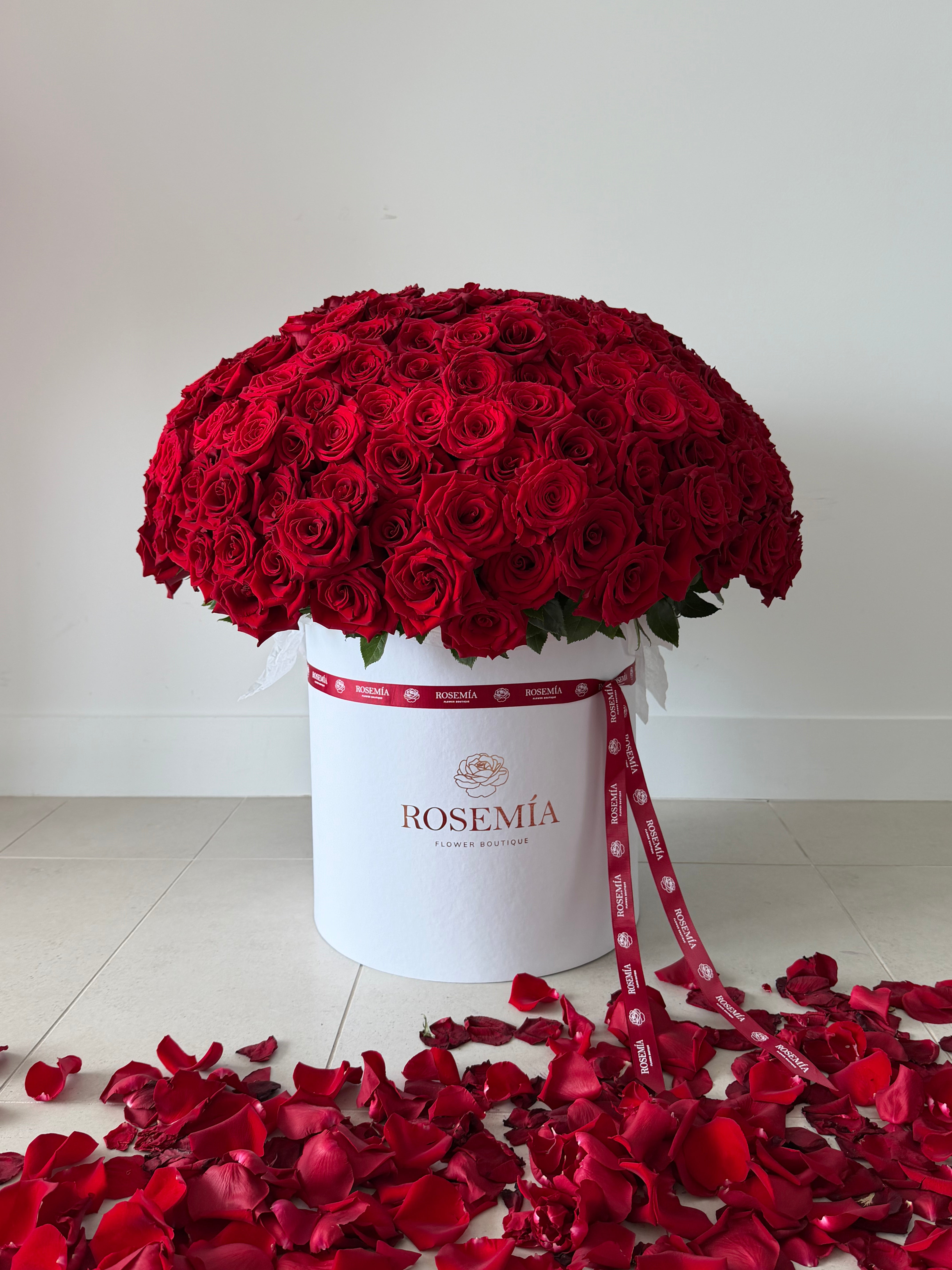 WOW RED ROSES BOX – 300 Roses