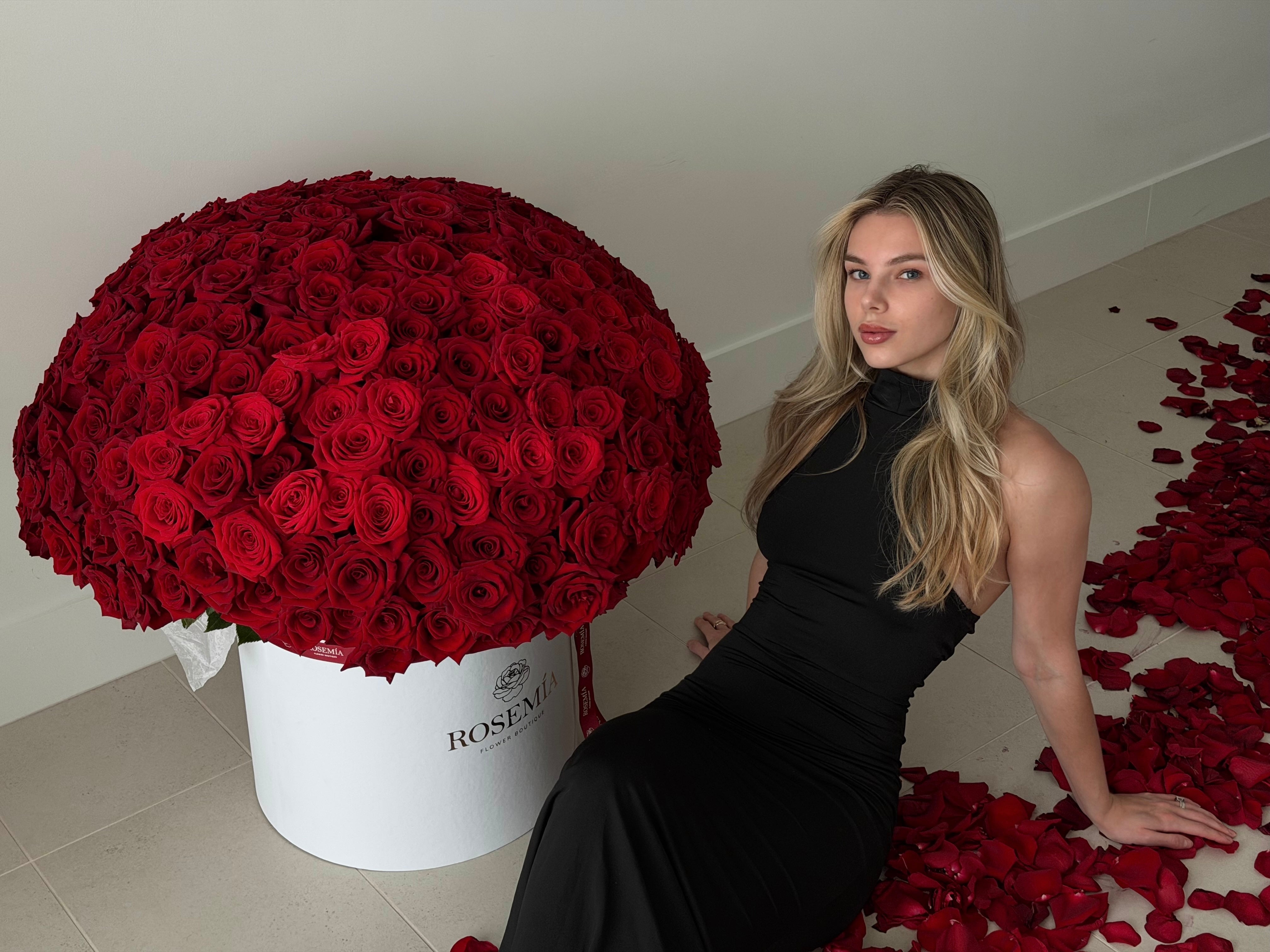 WOW RED ROSES BOX – 300 Roses