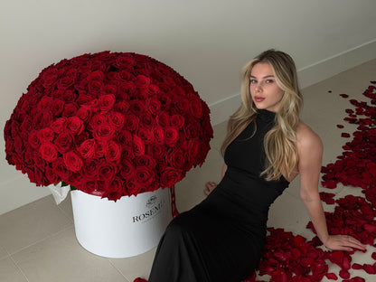WOW RED ROSES BOX – 300 Roses