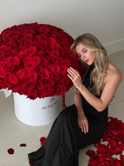 WOW RED ROSES BOX – 300 Roses