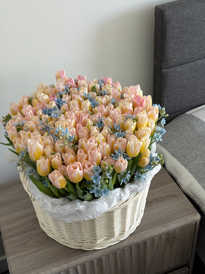 N.º 206 150 TULIPANES EN UNA CESTA