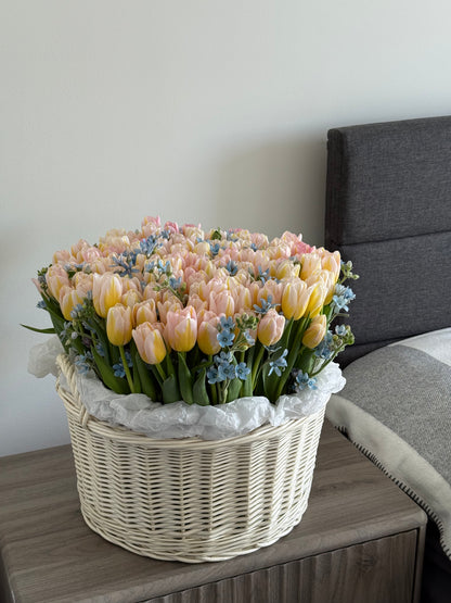 N.º 206 150 TULIPANES EN UNA CESTA