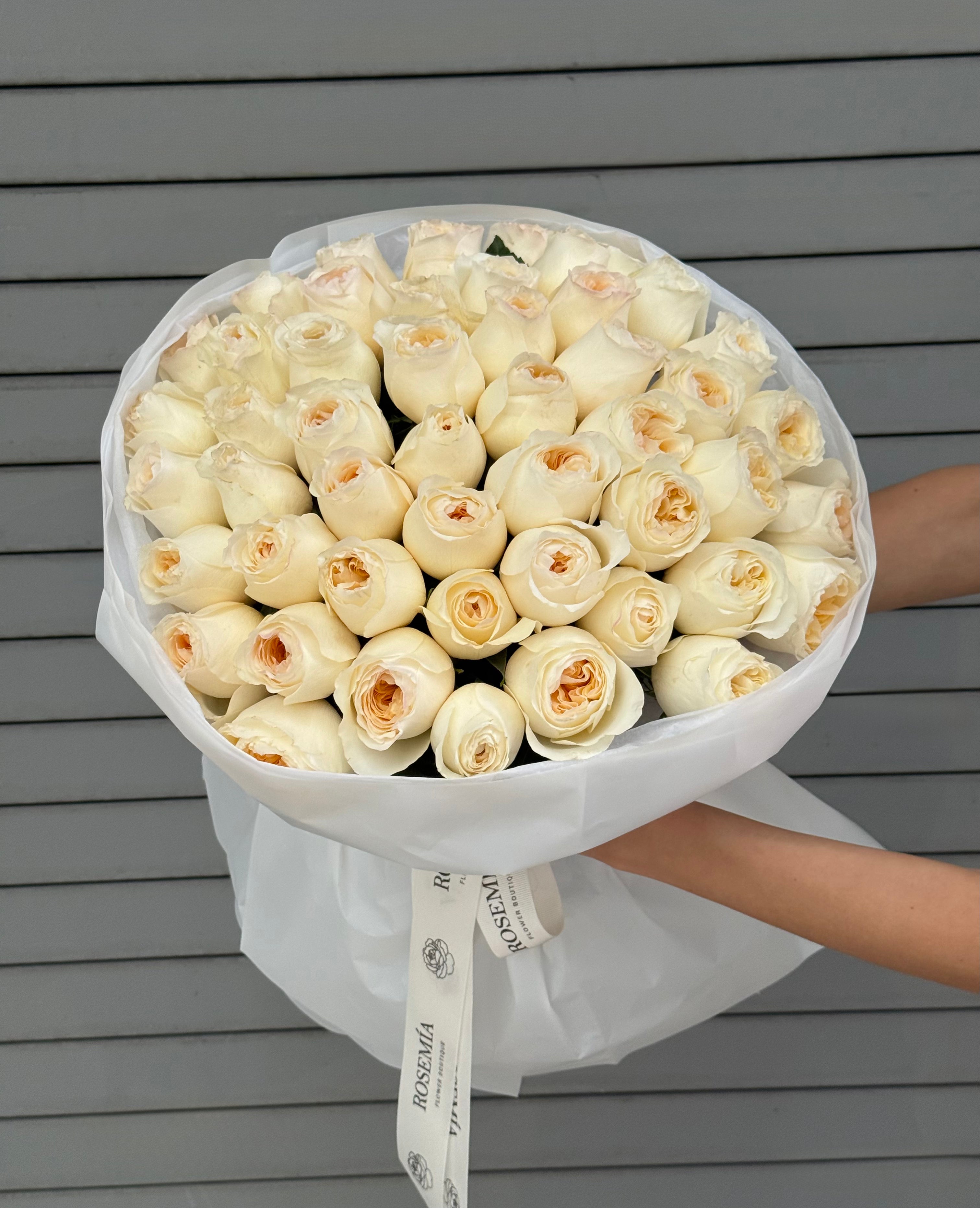 No.245 CREAM BRULEE - garden roses