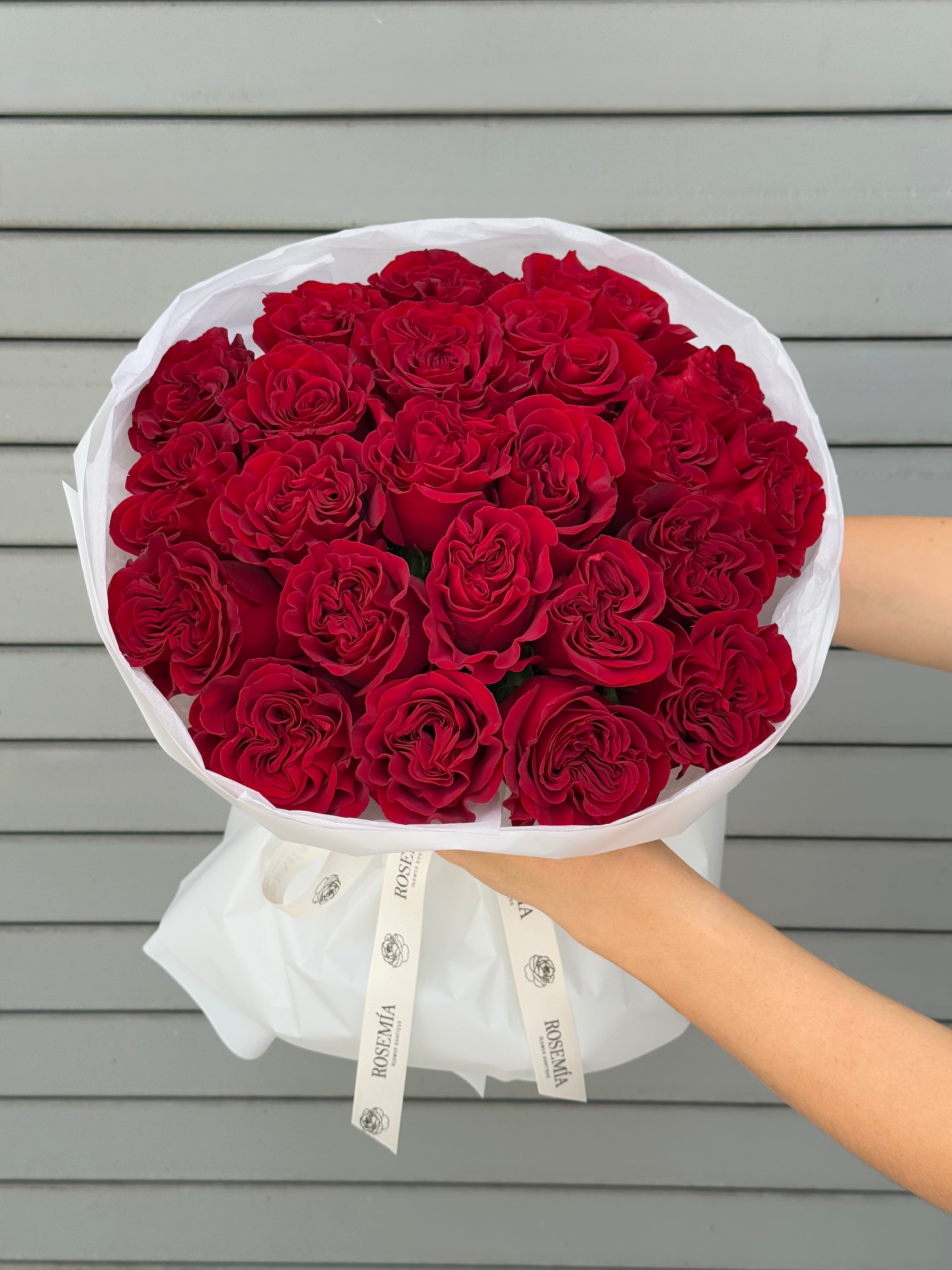 No.58 SCARLET PASSION - garden roses