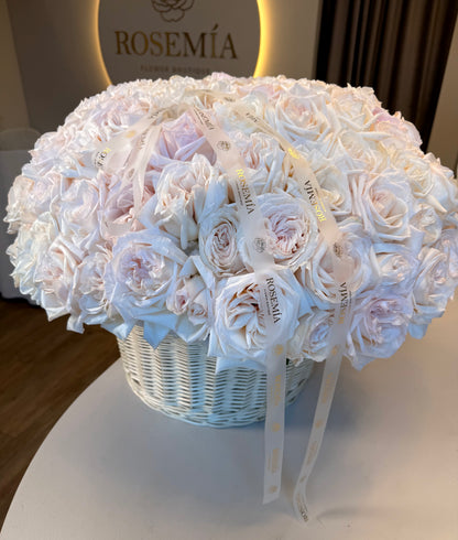 125 rosas White O'Hara en una cesta