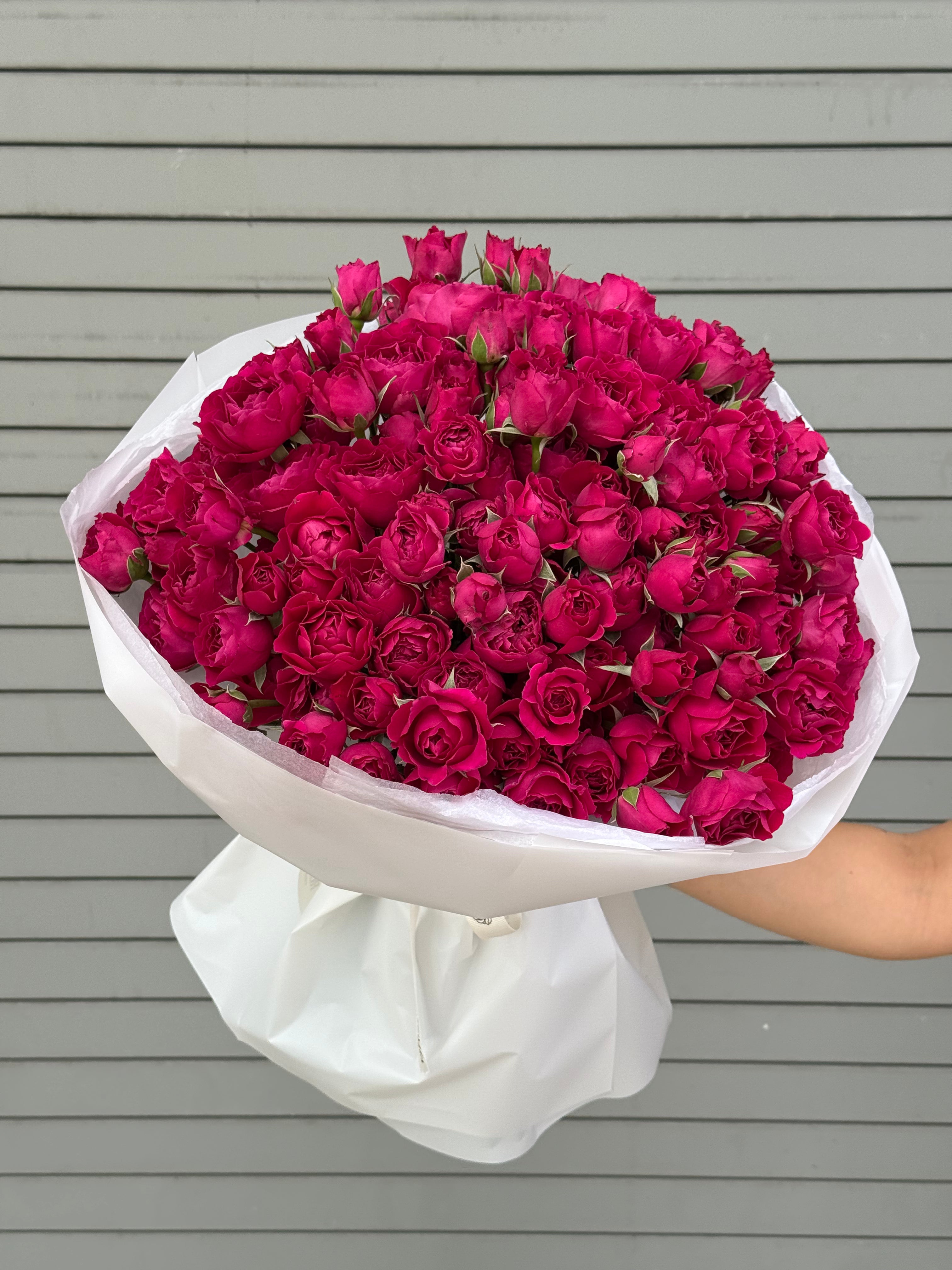 No.258 RASPBERRY KISS - spray roses