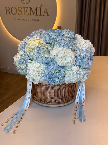 N.º 184 CESTA DE HORTENSIAS
