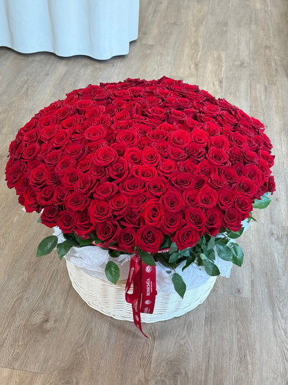 250 Red Roses – Signature Basket