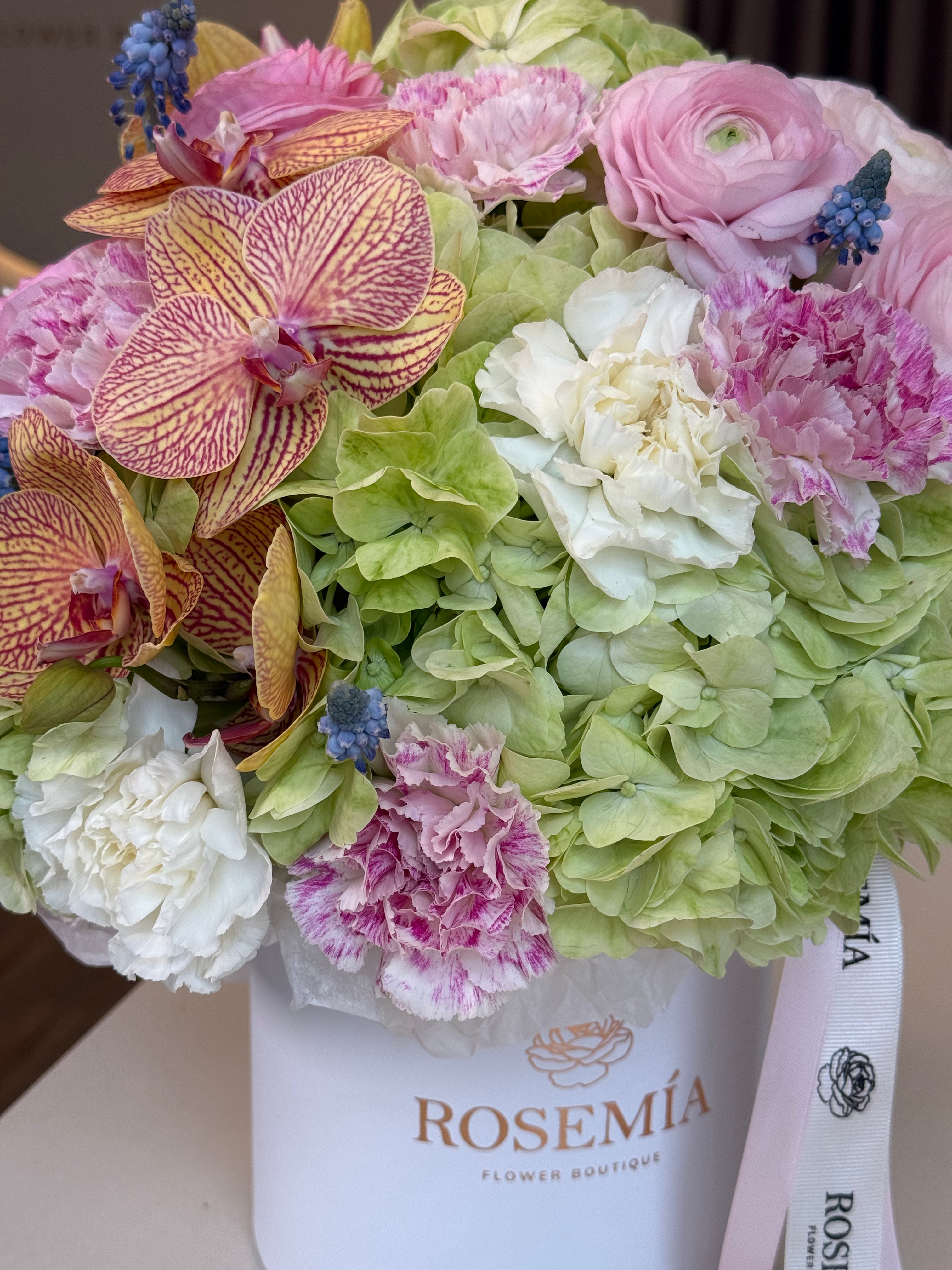 No. 216 CAJA BLOSSOM