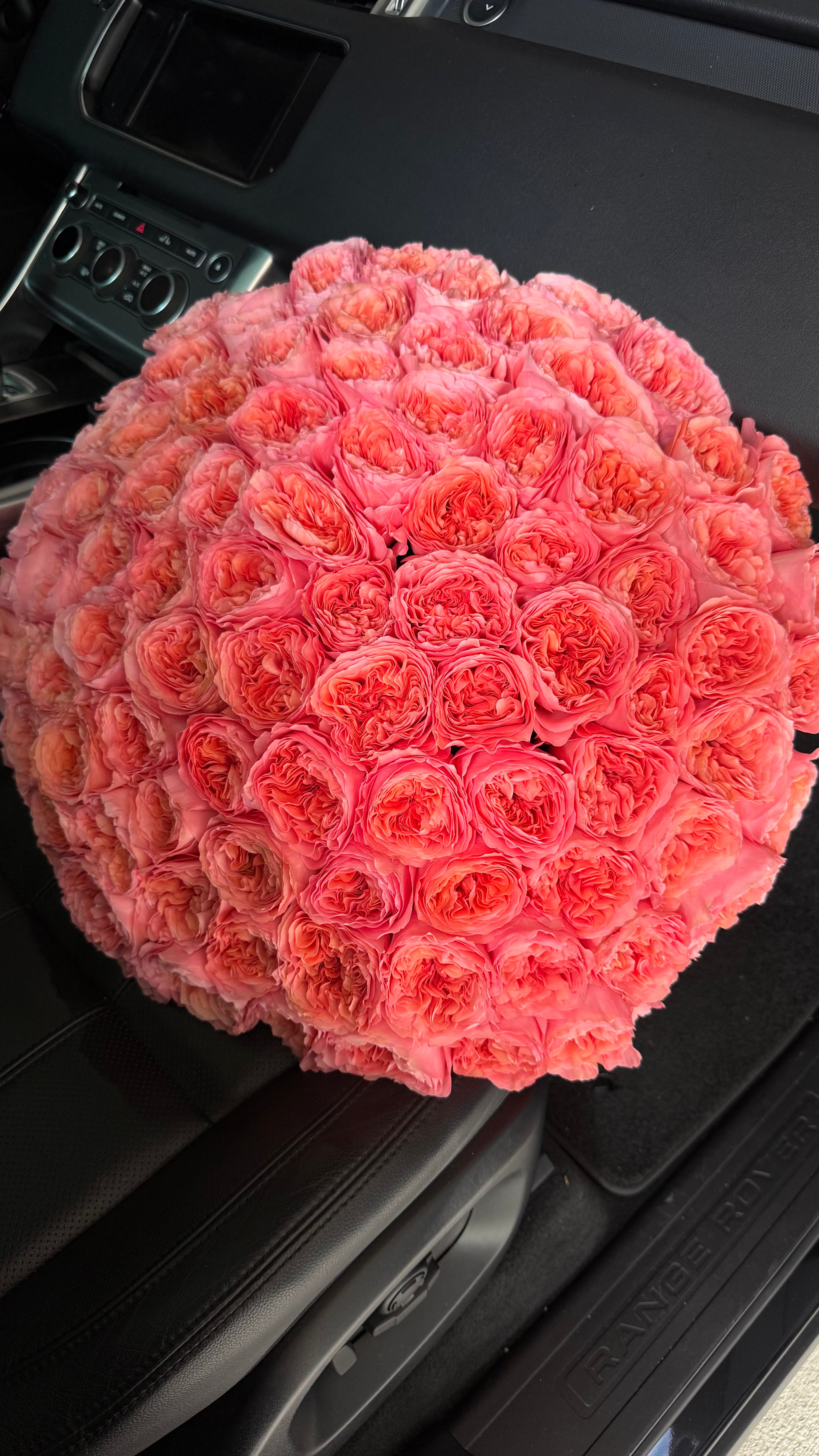 No.223 CANDY - 100 garden roses