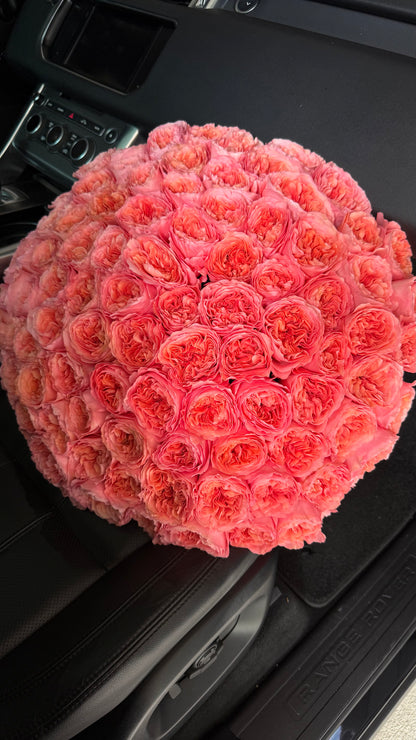 No.223 CANDY - 100 garden roses
