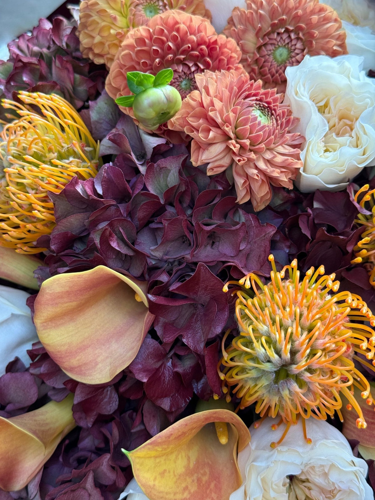 No.204 BURGUNDY AFFAIR - hydrangeas, garden roses, dahilas