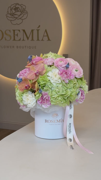 No. 216 CAJA BLOSSOM