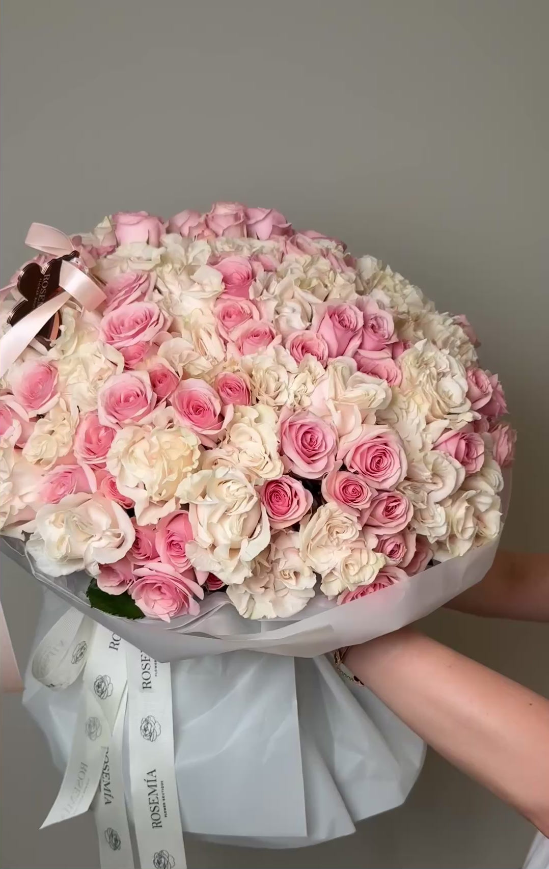 No. 22 ROSE