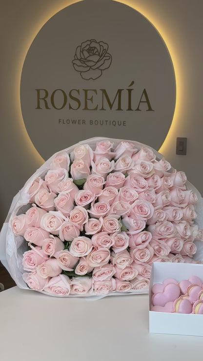 100 POMAROSA ROSES & MACARONS