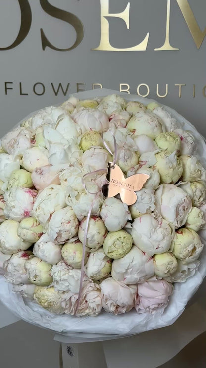 No. 111 ICONIC PEONIES