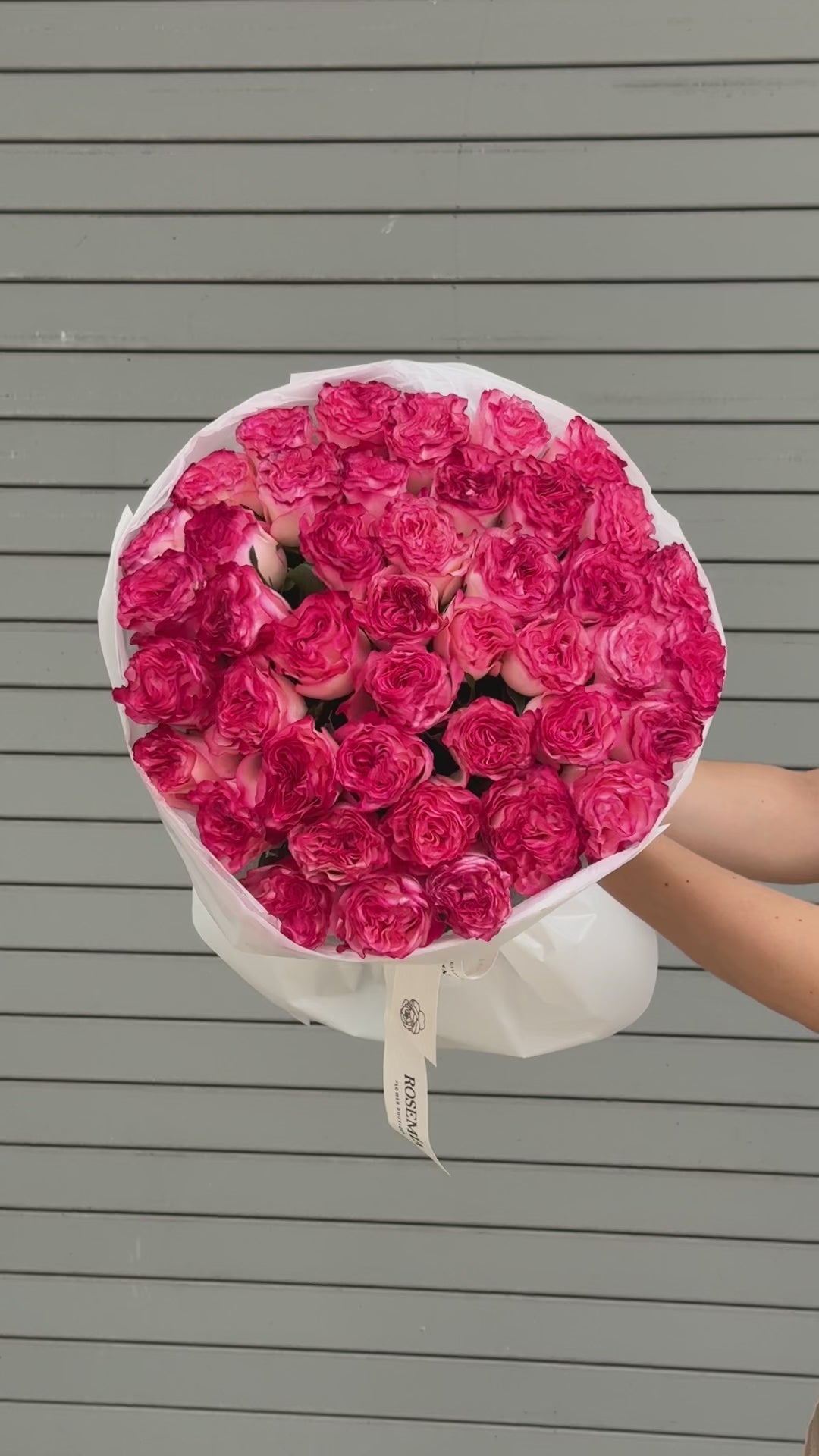 Nro. 198 ROSAS ROSAS LUSCIOUS