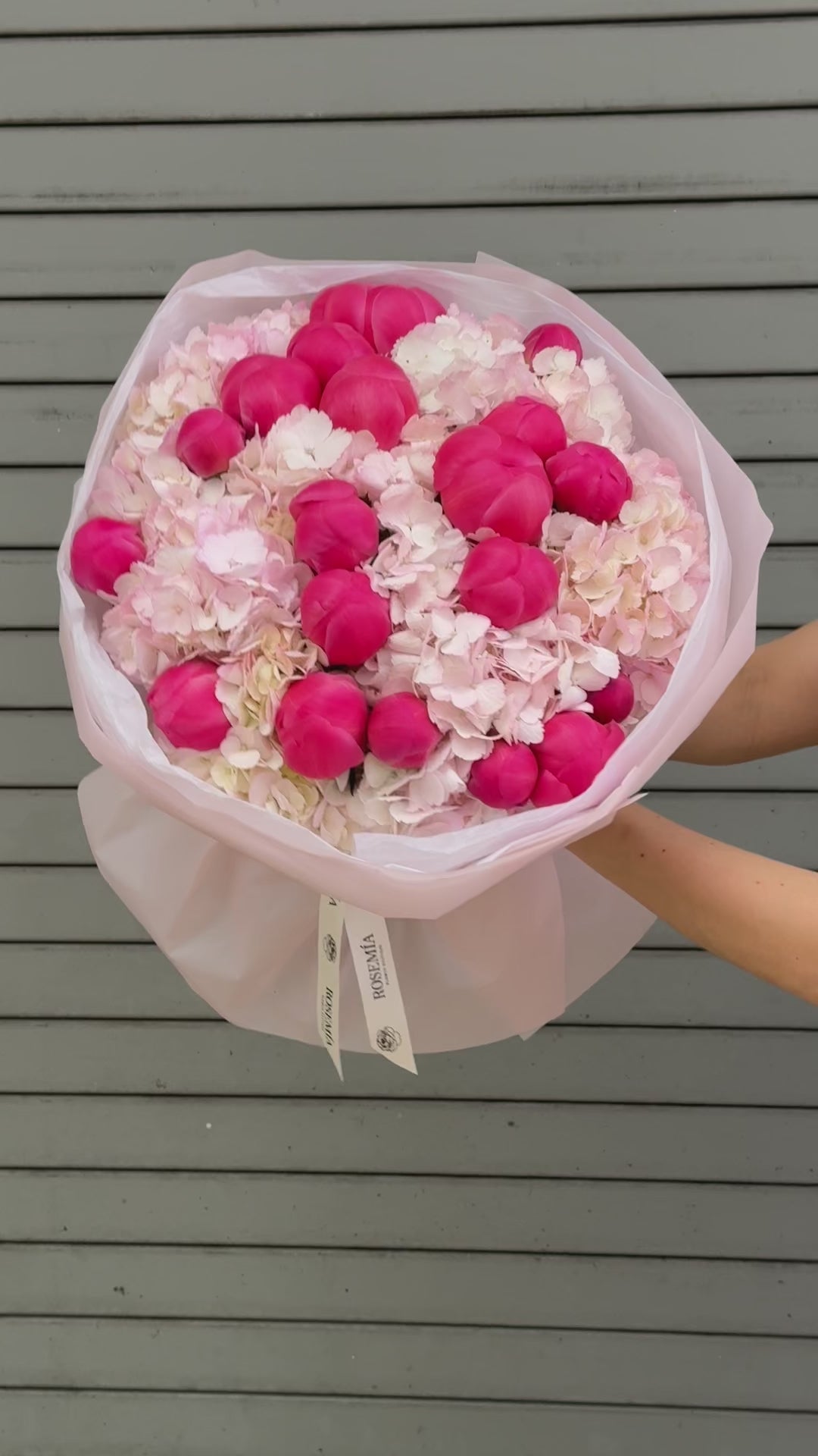 N.º 222 ROSA AMOR