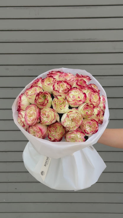 No.93 FLAMING KISS - garden roses