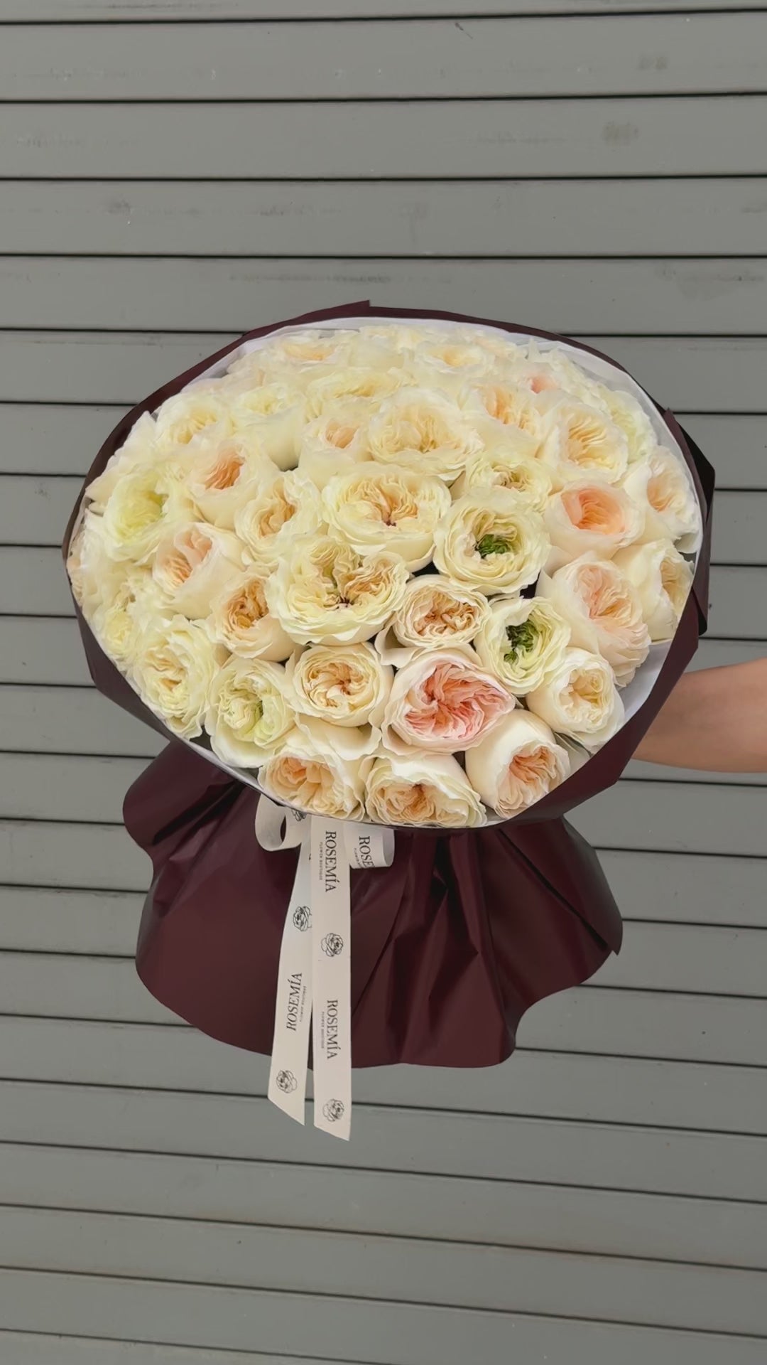 No.245 VICKY GARDENS - garden roses