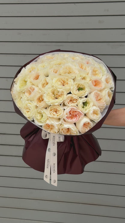 No.245 VICKY GARDENS - garden roses