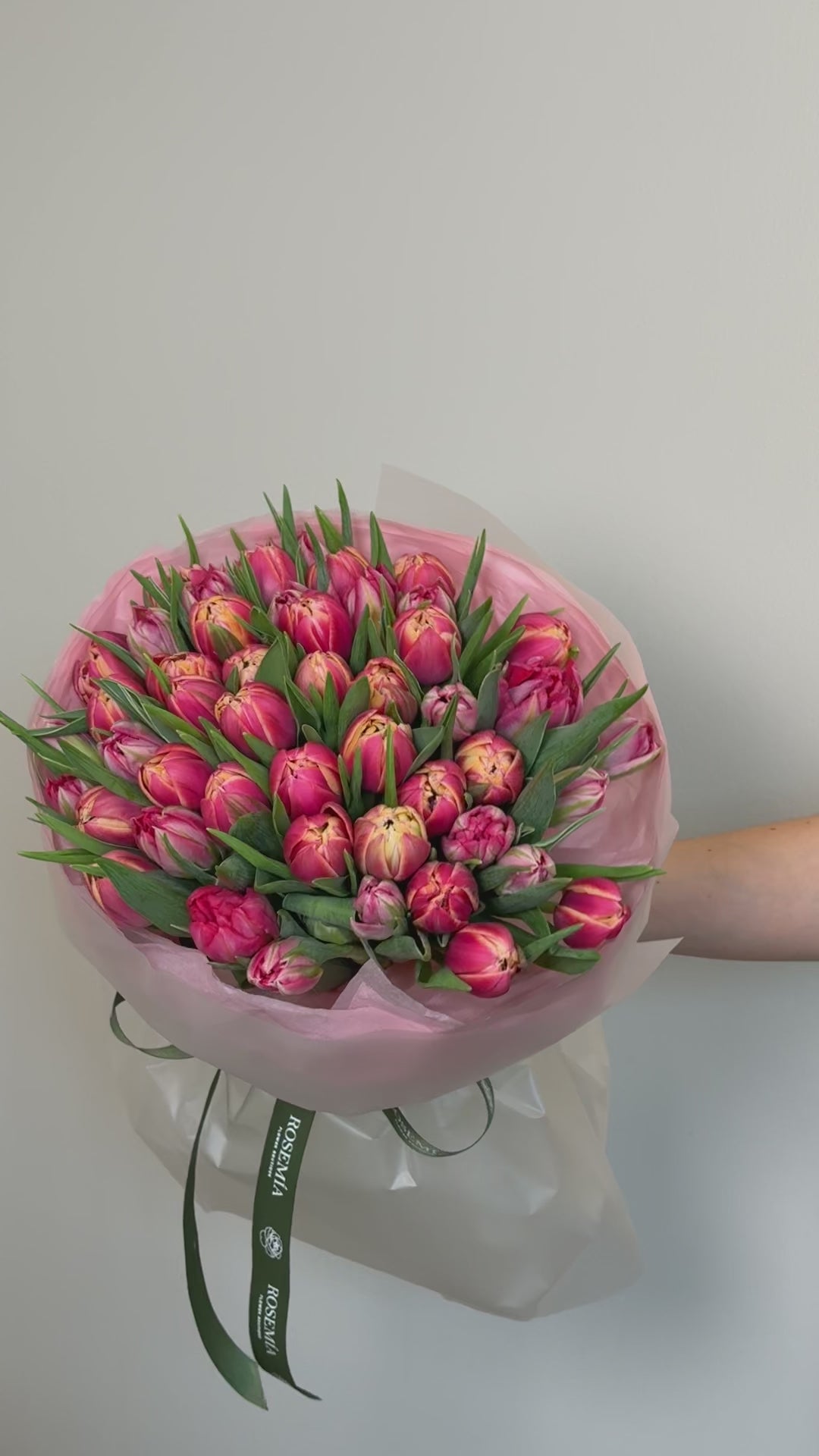 No.205 CORAL BLOOM - tulips