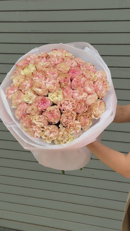 No. 241 COUNTRY CANDY - garden roses