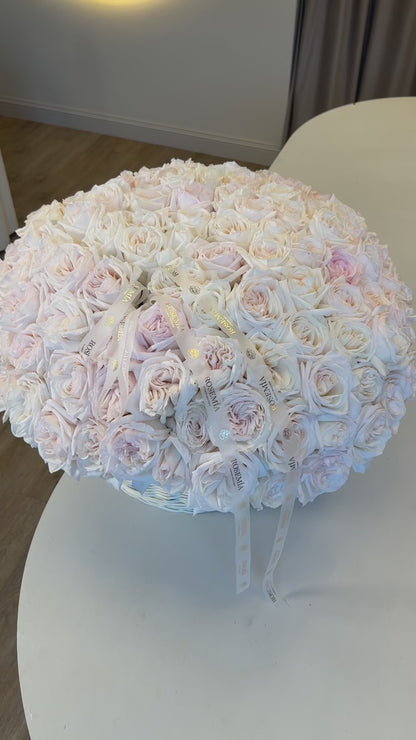 125 rosas White O'Hara en una cesta