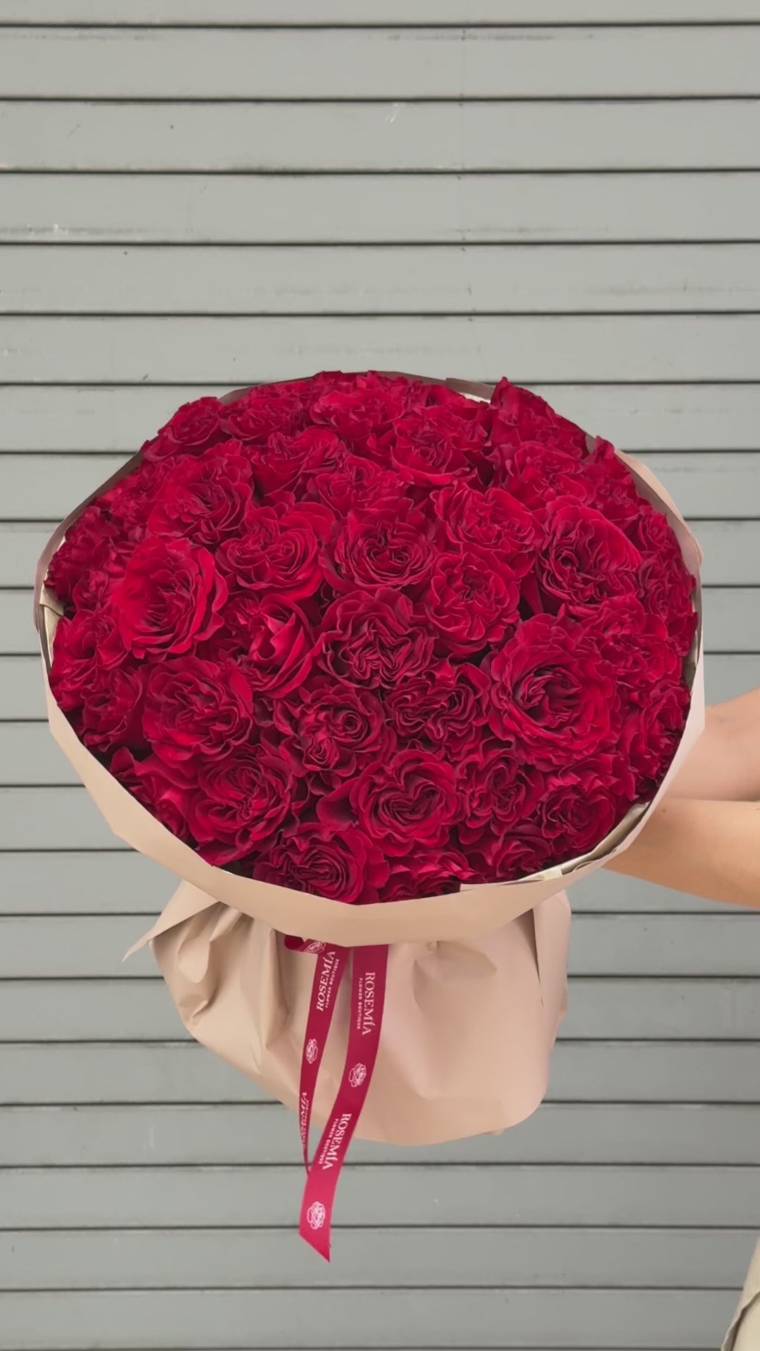 No.49 RED HEARTS - garden roses
