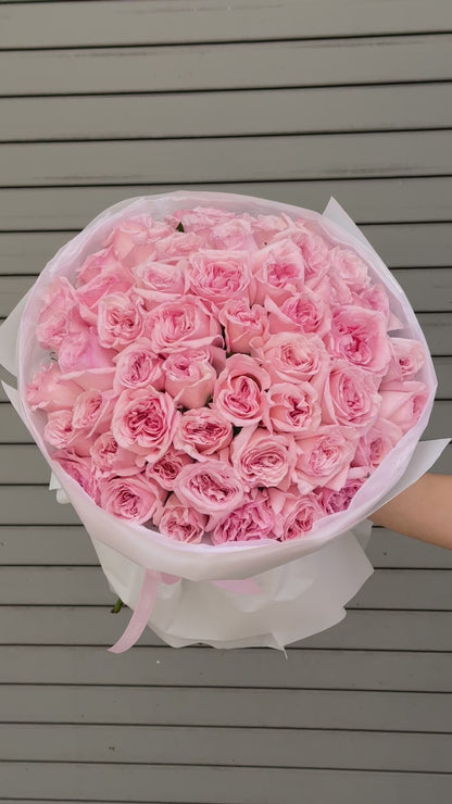 No.66 IMPERIAL PINK - garden roses ohara
