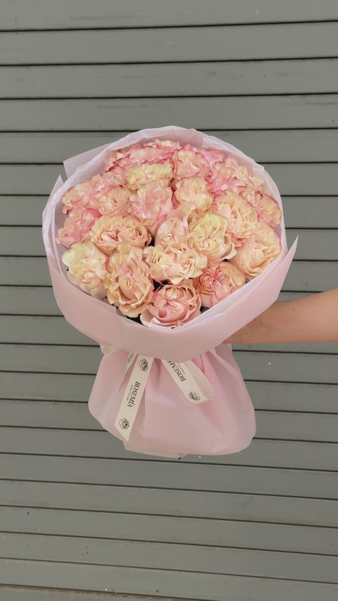No. 241 COUNTRY CANDY - garden roses