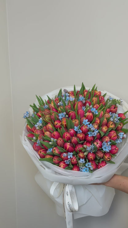 No.187 CORAL TULIPS