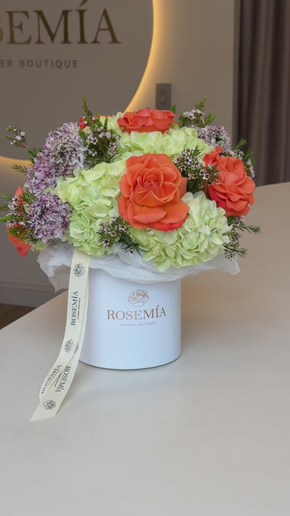 No. 220 CAJA BLOOM