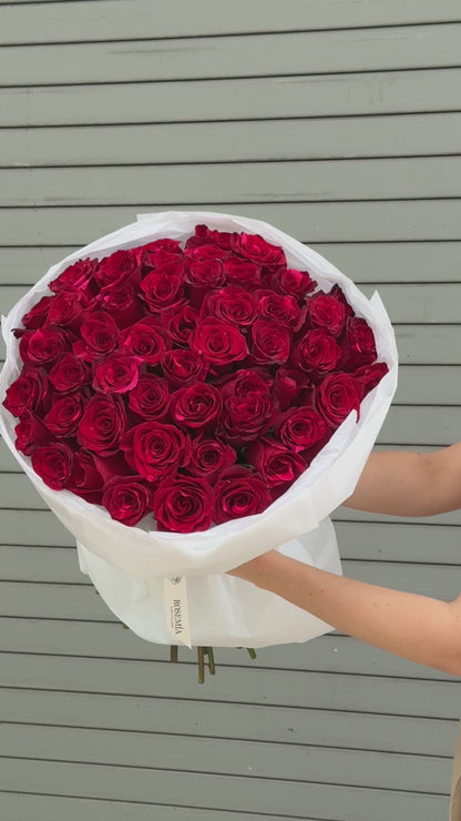 No.90 RED PANTHER - roses