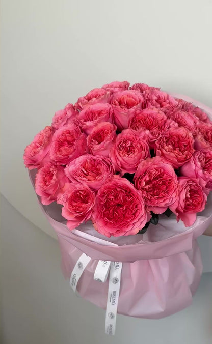 No. 51 CANDY CORAL