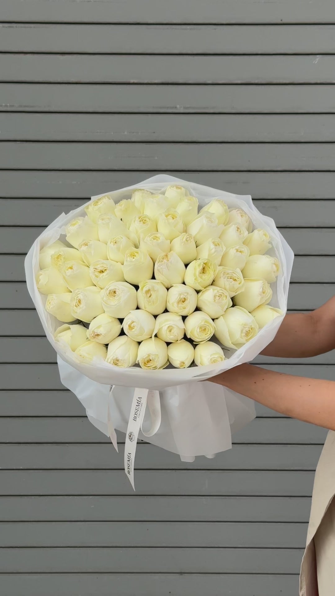 No.102 PEARL - garden roses