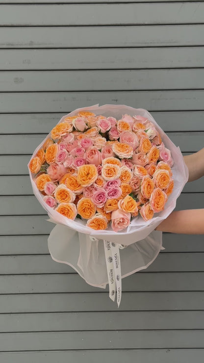 No.257 APRICOT ROSÉ - garden rose, spray rose