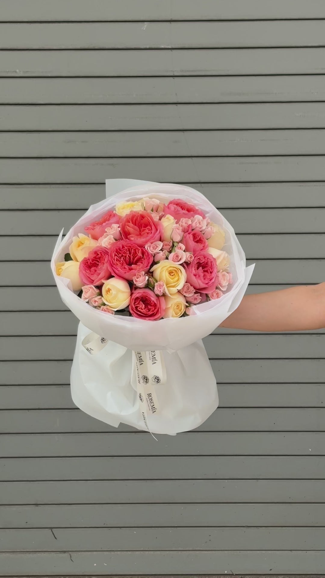 No.27 COMPLIMENT - garden roses, spray roses