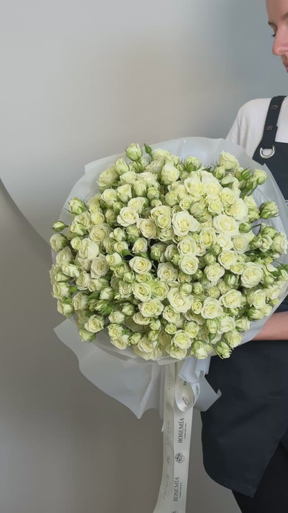 No. 37 BLANC GRANDE