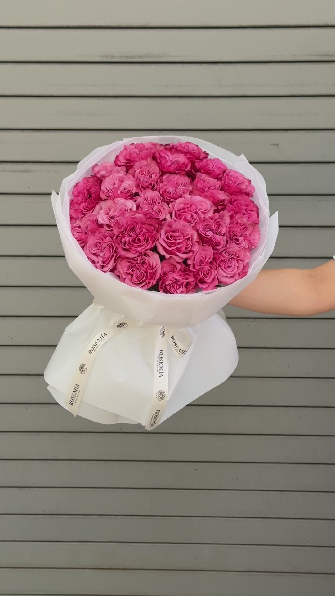 No.61 PINK BLISS - garden roses