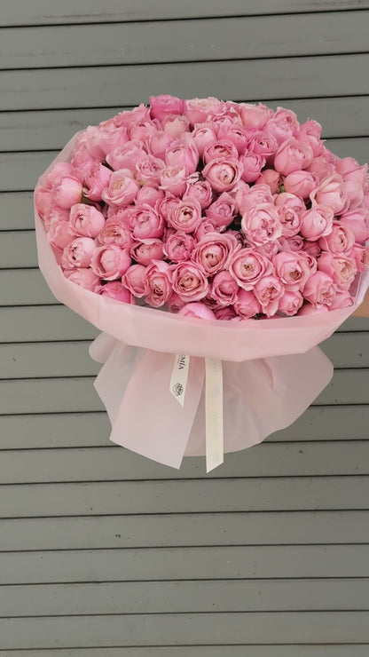 No.171 JULIETTE - garden spray roses