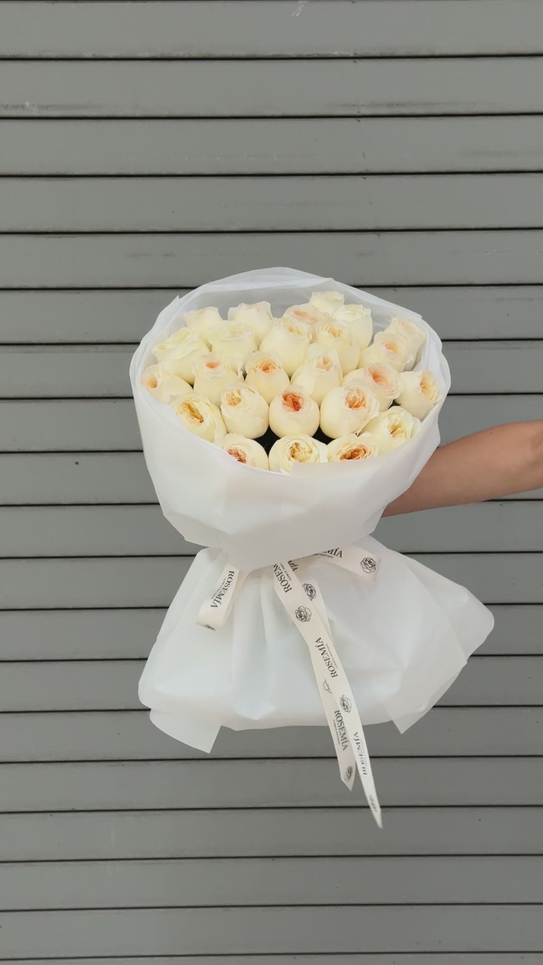 No.245 CREAM BRULEE - garden roses