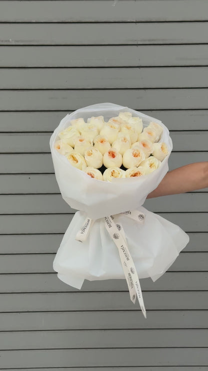 No.245 CREAM BRULEE - garden roses