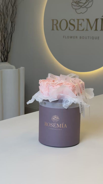 No. 55 PEACH ELEGANCE