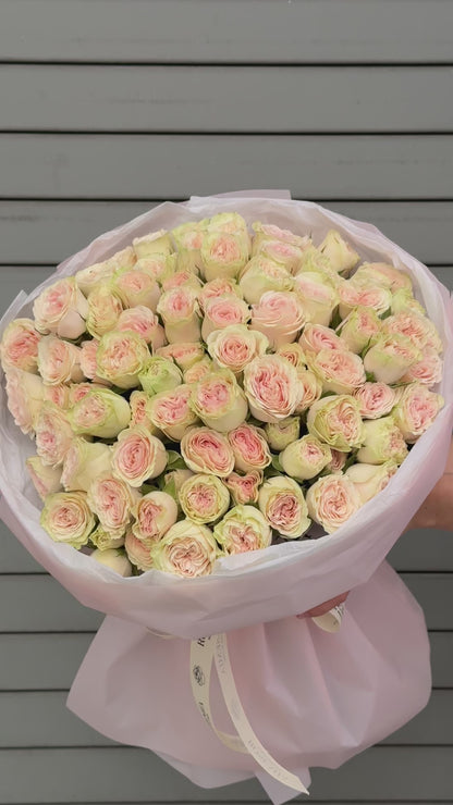 No.50 LOLLY DOLLY - garden spray roses