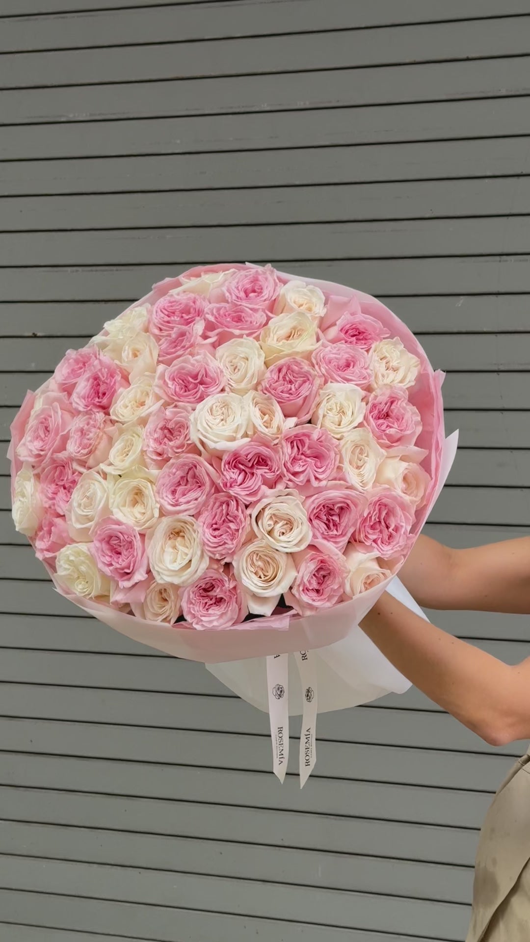 No.156 ROSÉ AFFAIR - garden roses