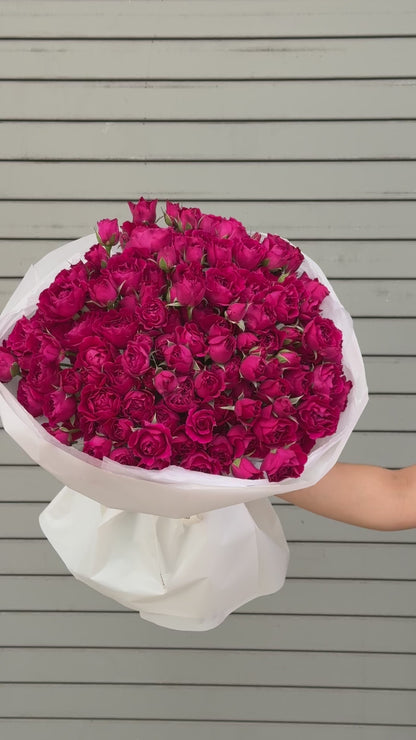 No.258 RASPBERRY KISS - spray roses