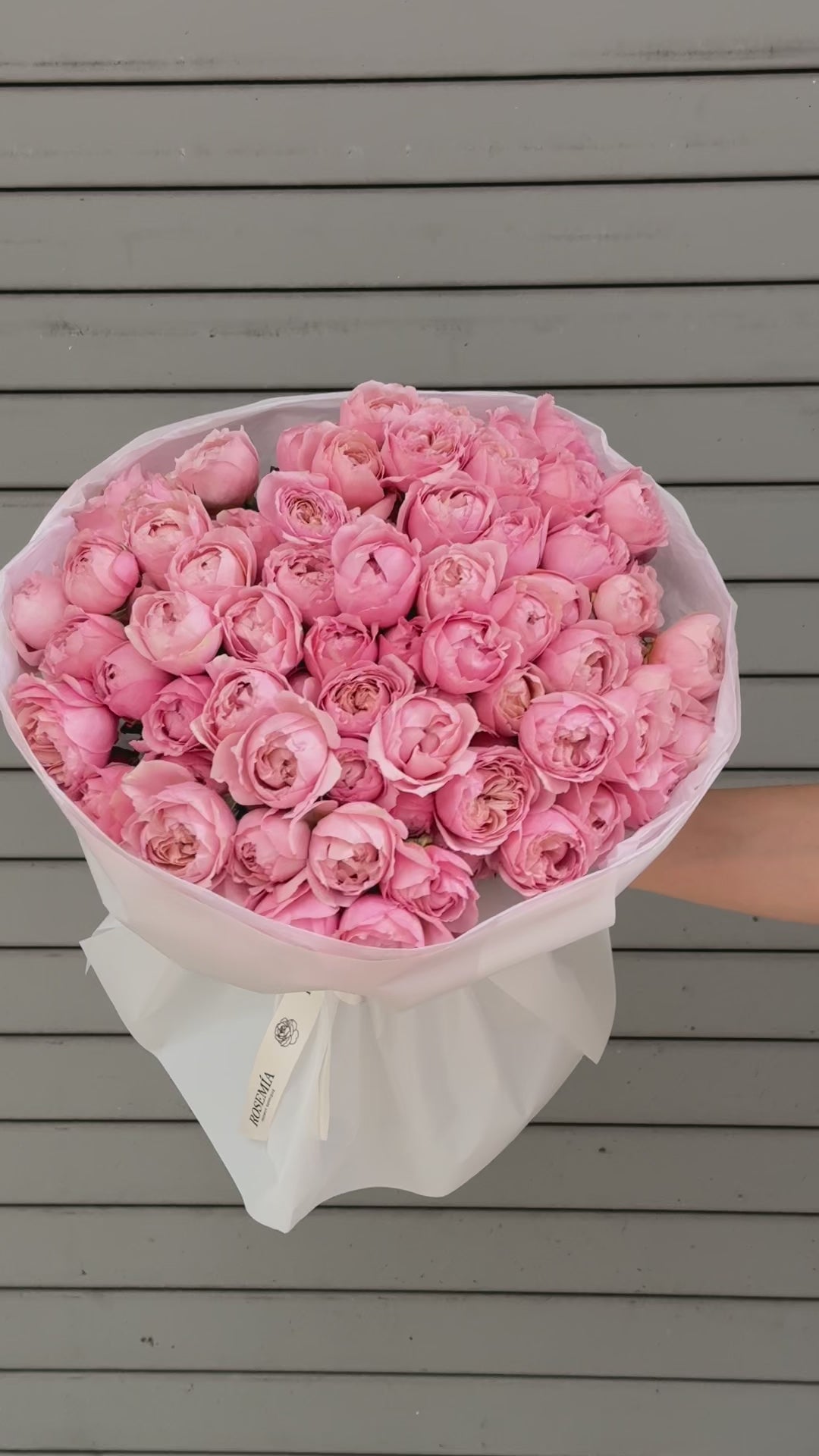 No.171 JULIETTE - garden spray roses