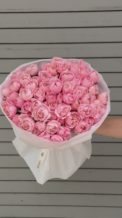 No.171 JULIETTE - garden spray roses